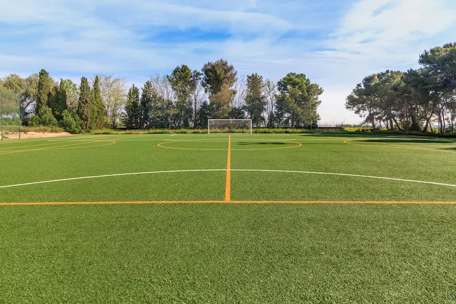 Colegio de Fomento El Vedat: Colegio Concertado en Torrent,Infantil,Primaria,Secundaria,Bachillerato,Inglés,Alemán,Católico,